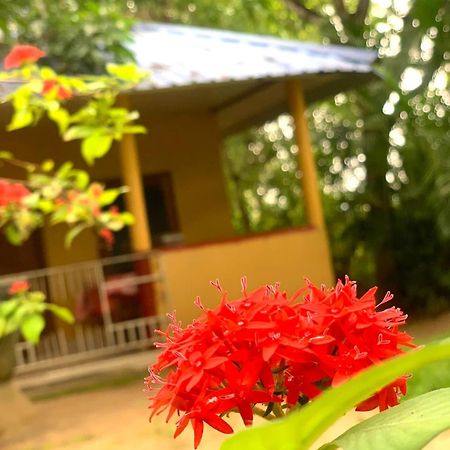Yapahuwa Relax Stay Exterior foto